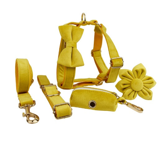 JMT-650186 Soft Velvet Dog Collar with Matching Accessories - Adjustable Sizes XS to XL