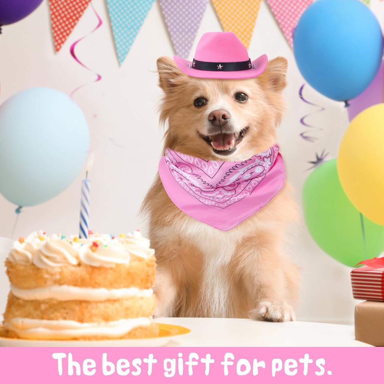 JMT-651914 Cat Cowboy Hat and Bandana Set for Pets - Funny Western Costume for Cats and Kittens - Ideal for Halloween and Themed Parties