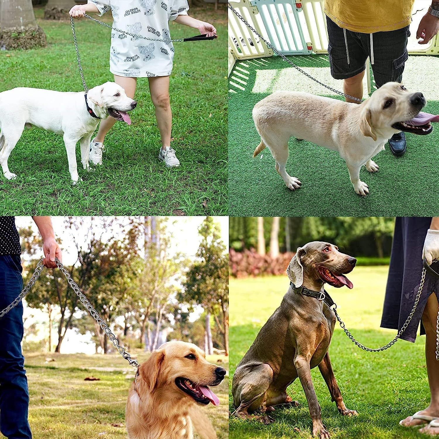 JMT-654794 Heavy-Duty Chew-Proof Metal Dog Leash with Soft Padded Handle for Large and Medium Dogs