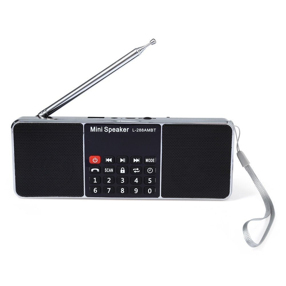 JMT-659402 Portable Bluetooth Speaker with AM/FM Radio, Rechargeable Lithium-ion Battery, USB & TF Card Support, LCD Display