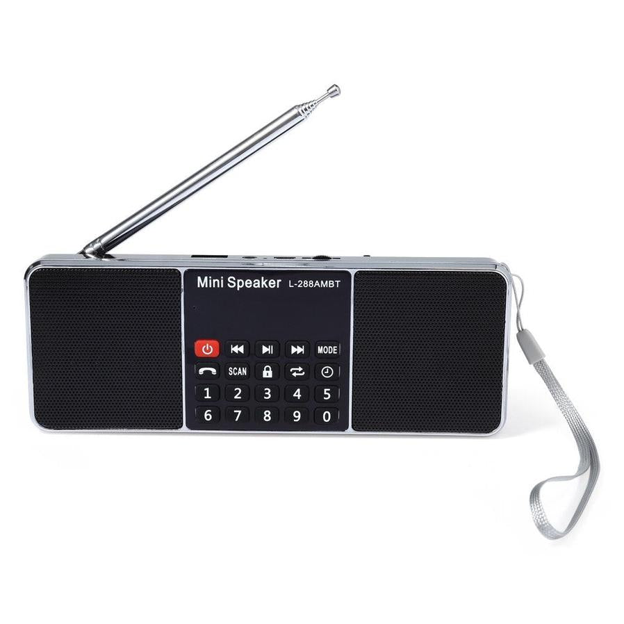 JMT-659402 Portable Bluetooth Speaker with AM/FM Radio, Rechargeable Lithium-ion Battery, USB & TF Card Support, LCD Display