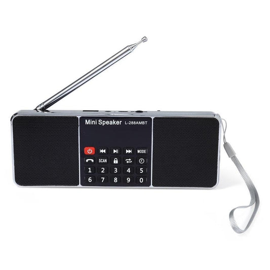 JMT-659402 Portable Bluetooth Speaker with AM/FM Radio, Rechargeable Lithium-ion Battery, USB & TF Card Support, LCD Display