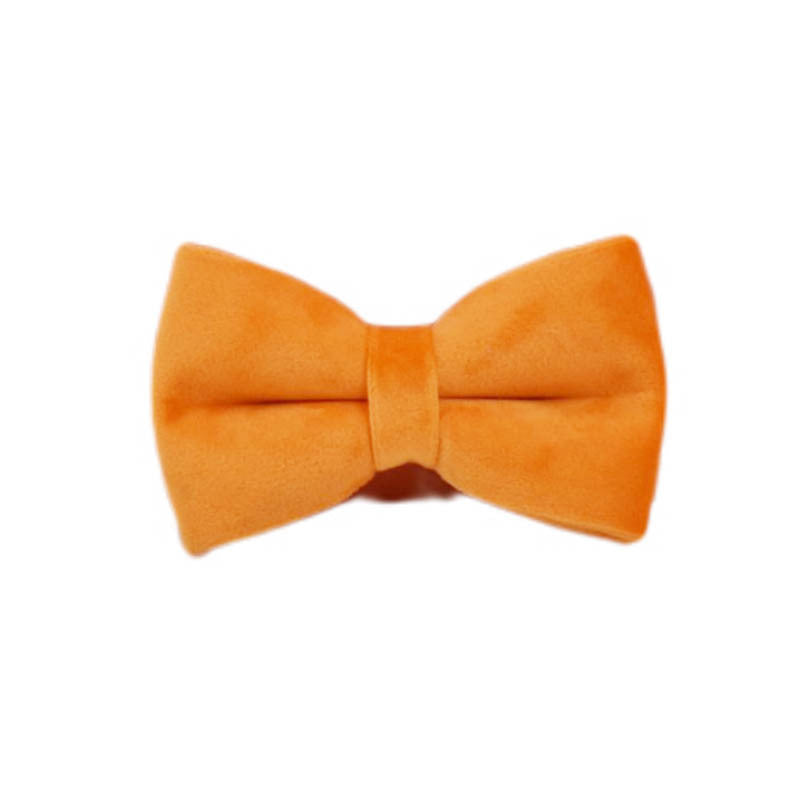 JMT-661386 Velvet Fabric Dog Collar Set with Adjustable Harness, Leash, Bow Knot, Flower, and Poop Bag