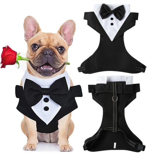 JMT-667146 Pet Safety Harness with Integrated Hand Holding Rope for Weddings and Gatherings