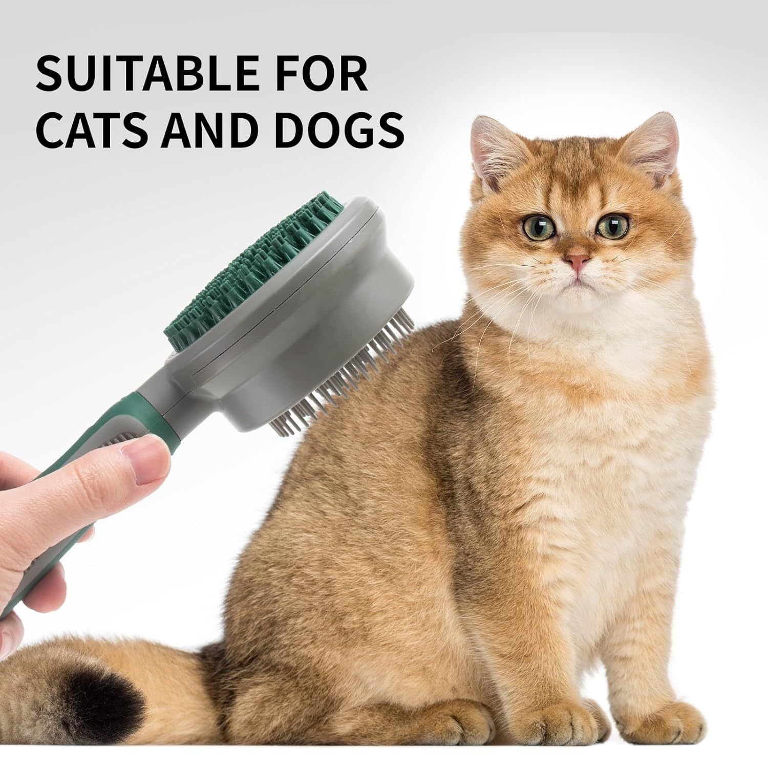 JMT-668042 Dual-Sided Silicone Cat and Dog Brush with Soft Rubber Pins for Grooming, Shedding, and Massaging Long-Haired Pets