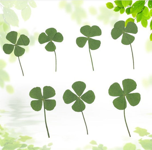 JMT-672714 Dried Four-Leaf Clover Epoxy Leaves for Handmade Jewelry (10 Pcs)