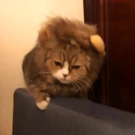JMT-681290 Cute Cat Lion Wig Hat for Pets – Fun Dress Up for Cats and Puppies