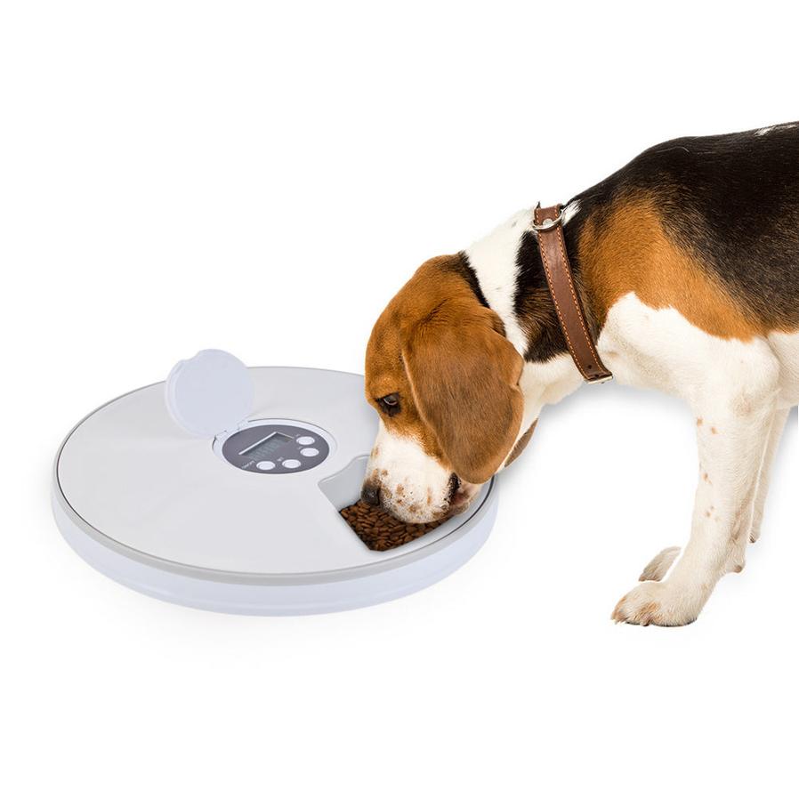 JMT-683786 Automatic 6-Compartment Electronic Pet Feeder for Dogs and Cats