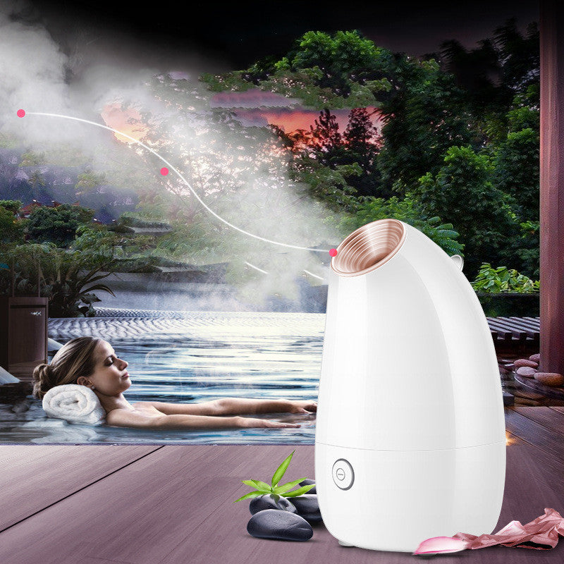 JMT-684170 Face Steamer for Enhanced Skincare Routine with Hot Spray Function