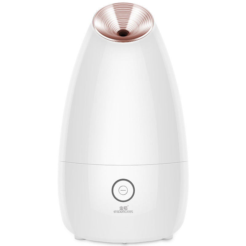JMT-684170 Face Steamer for Enhanced Skincare Routine with Hot Spray Function