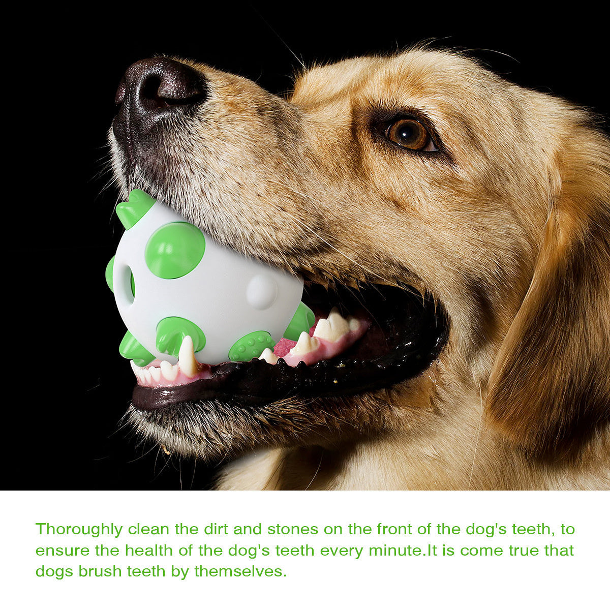 JMT-687370 Spherical Dog Toothbrush Toy for Dental Care and Chewing Fun