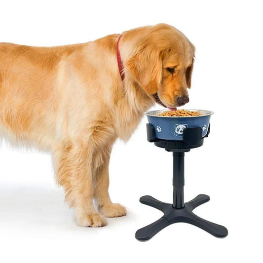 JMT-689546 Adjustable Elevated Dog Food and Water Bowl Stand with Anti-Slip Design for Medium and Large Pets