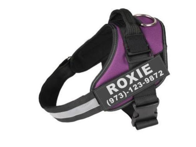 JMT-693002 Personalized No Pull Reflective Breathable Adjustable Dog Harness for Small to Large Dogs