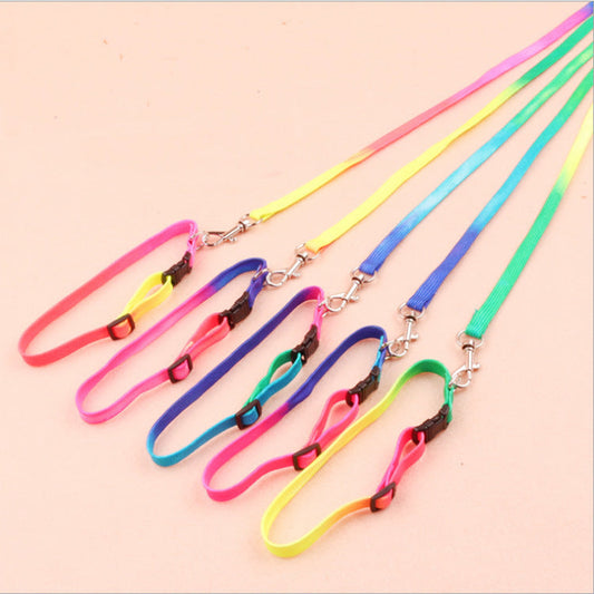 JMT-697610 Rainbow Nylon Cat and Dog Leash with Adjustable Collar for Small Pets - 120cm Length, 20-30cm Neck Size
