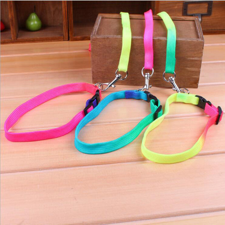 JMT-697610 Rainbow Nylon Cat and Dog Leash with Adjustable Collar for Small Pets - 120cm Length, 20-30cm Neck Size