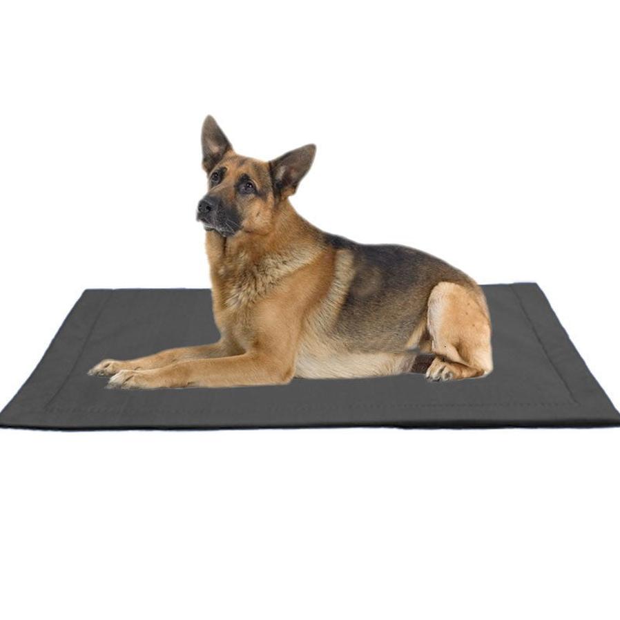 JMT-698890 Bite-Resistant Moisture-Proof Dog Mat for Large Breeds - 60x40 cm, 90x60 cm, 100x80 cm Options