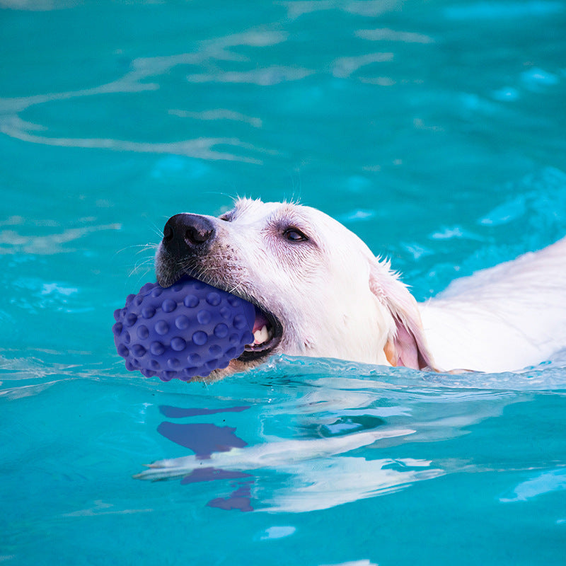 JMT-699722 Natural Rubber Bite-Resistant Pet Toy with Beef Flavor for Dental Care and Vocal Play