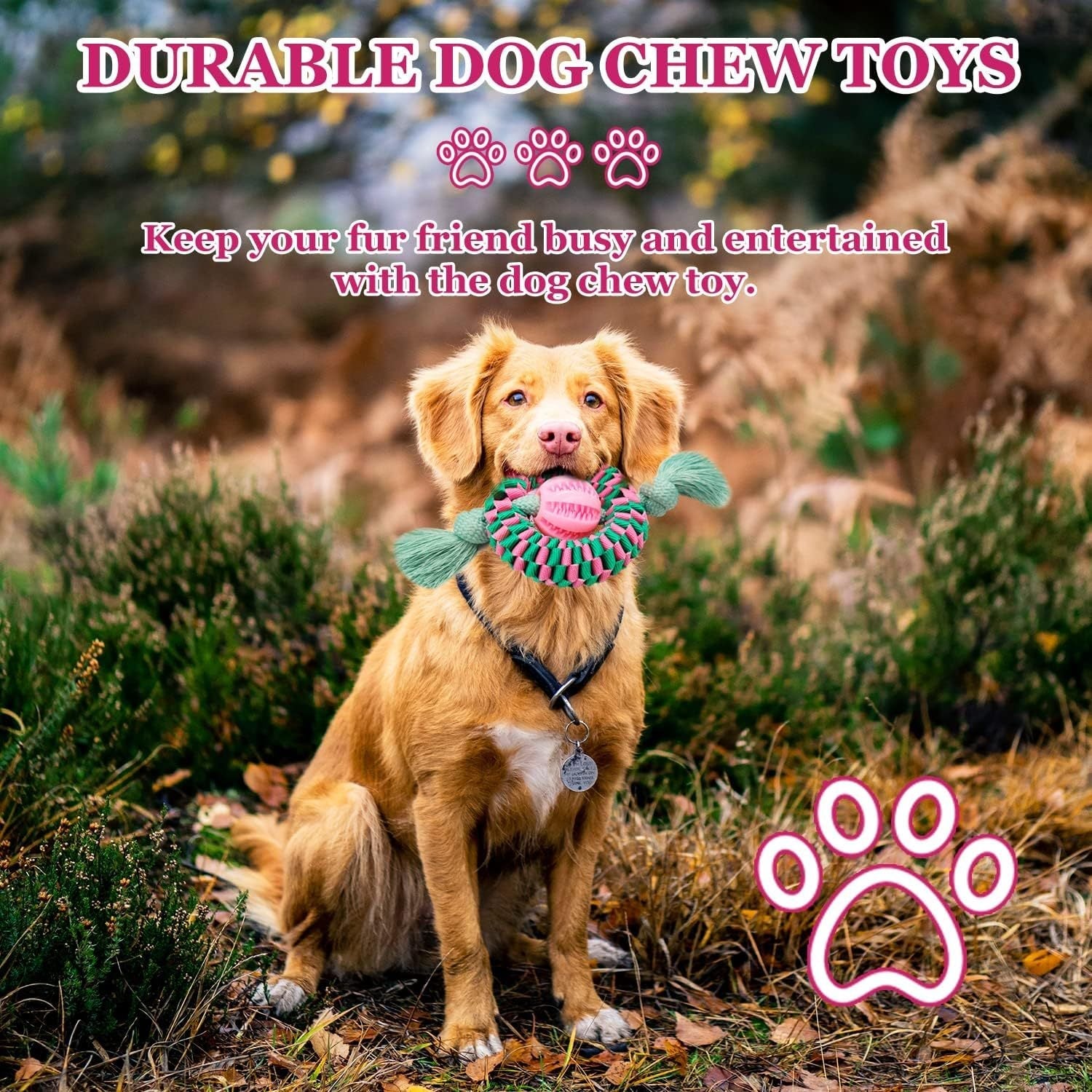 JMT-704010 Durable Interactive Dog Chew Toy for Aggressive Chewers - Made with Natural Rubber for Safe Chewing, Exercise and Teeth Cleaning