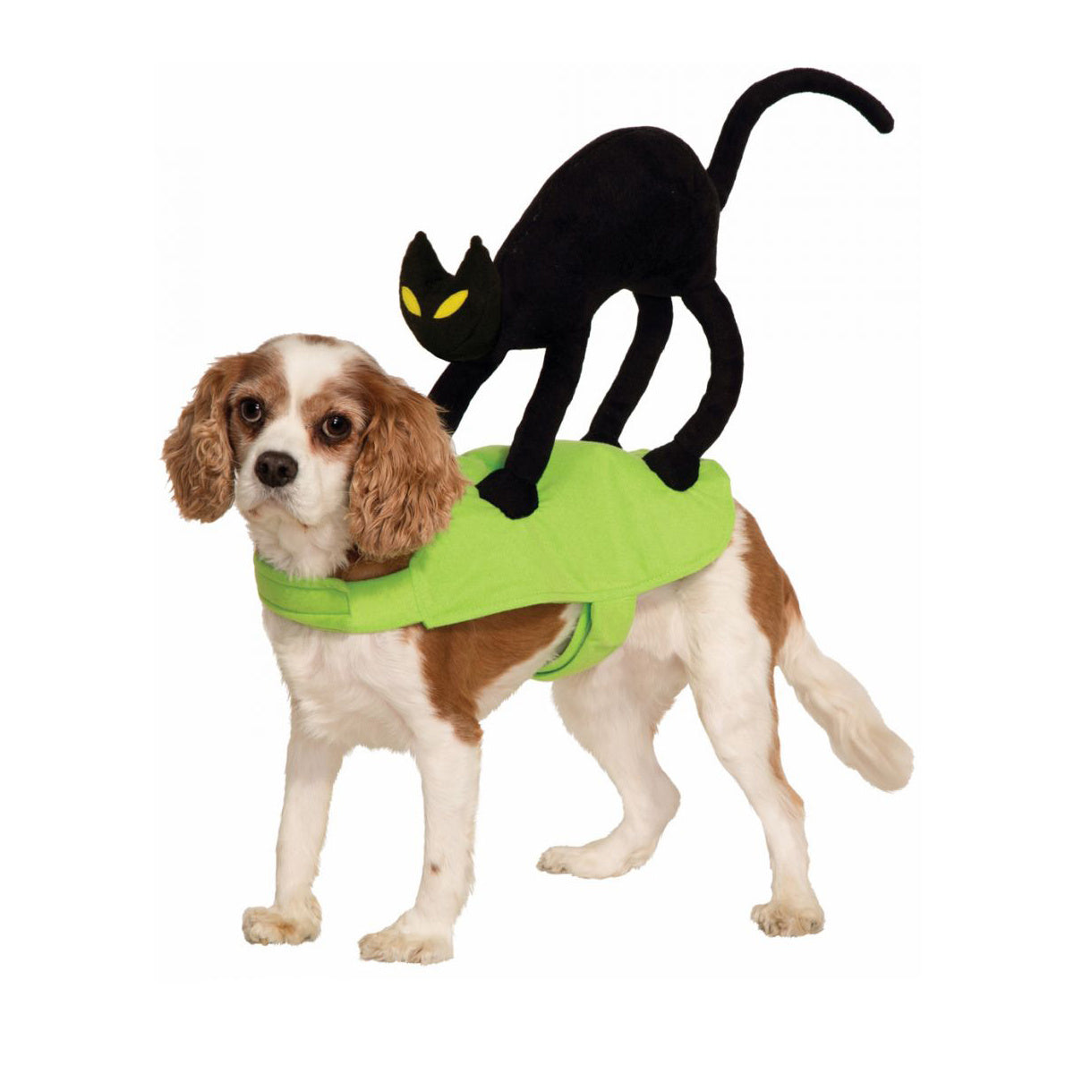 JMT-706954 Green Dog Apparel - Funny and Comfortable Clothing for Small to Large Dogs