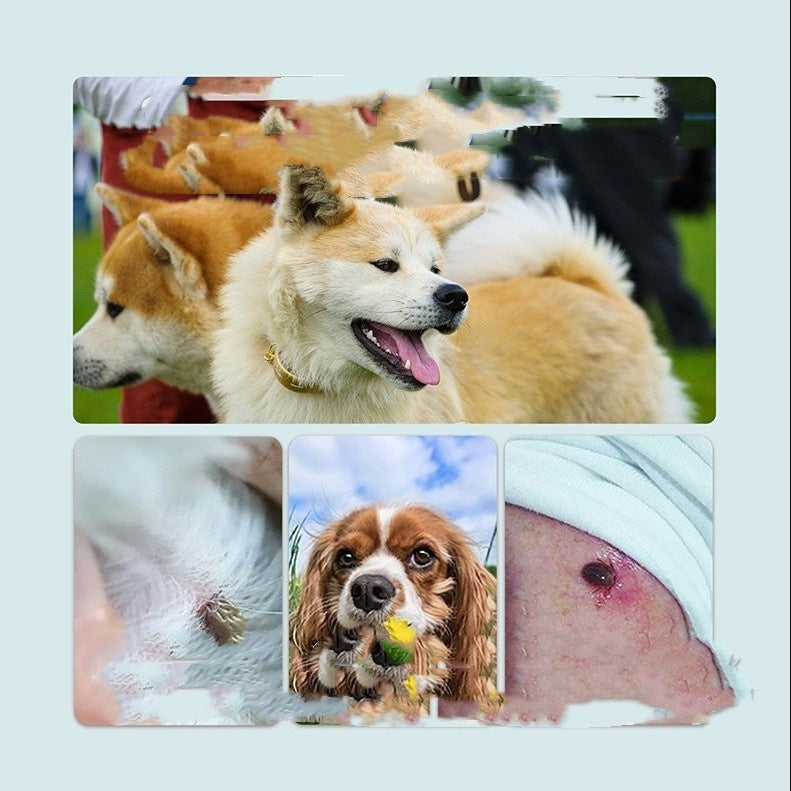 JMT-718986 Flea and Tick Prevention Collar for Dogs – Adjustable Black, Dark Pink, and Green Color Options