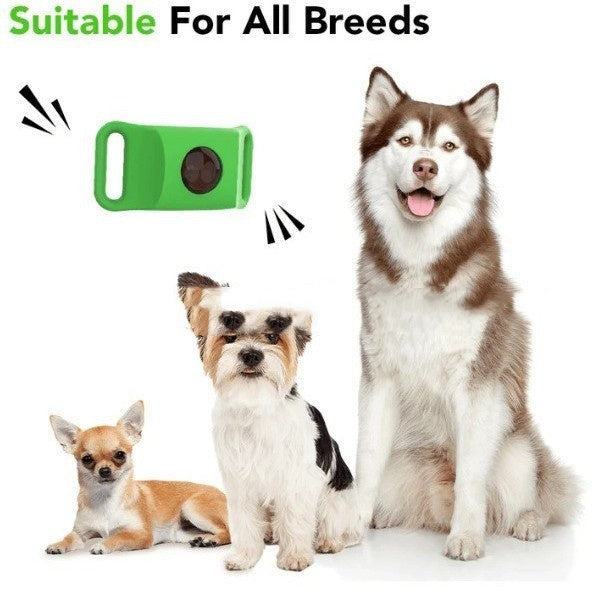 JMT-718986 Flea and Tick Prevention Collar for Dogs – Adjustable Black, Dark Pink, and Green Color Options