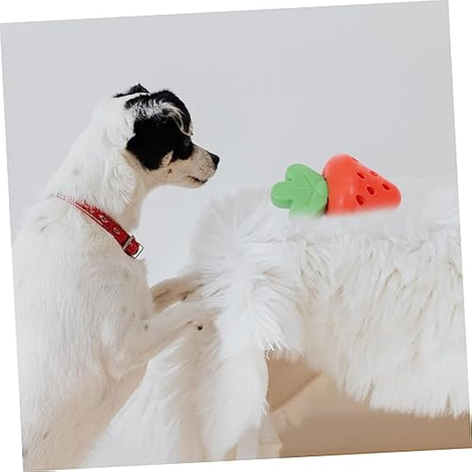 JMT-719818 Puppy Teething Toy for Small Dogs - Promotes Oral Health and Chewing Fun