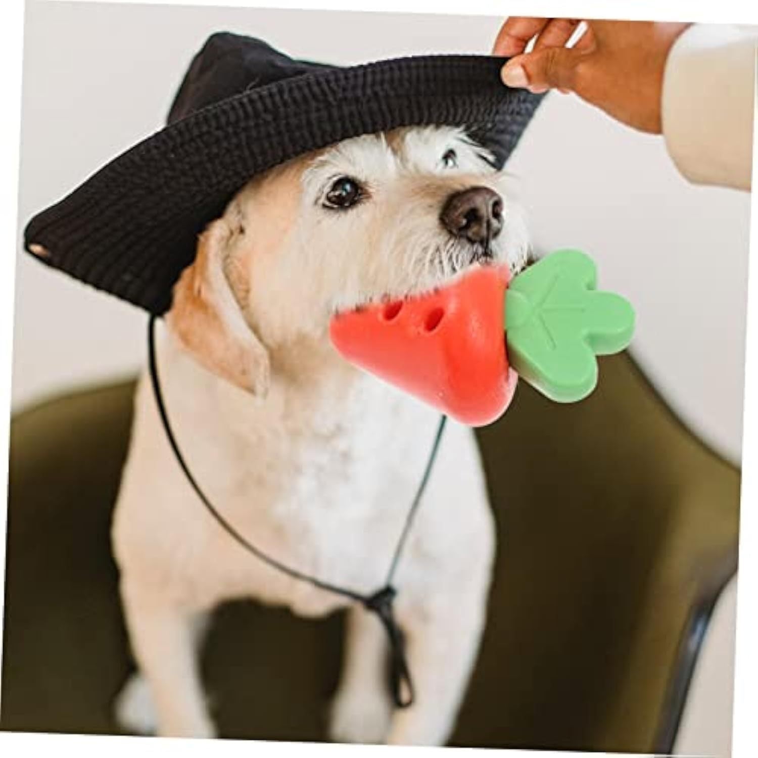 JMT-719818 Puppy Teething Toy for Small Dogs - Promotes Oral Health and Chewing Fun