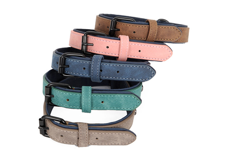 JMT-720650 Eco-Friendly PVC Puppy Dog Collar with Adjustable Leash for Small to Medium Dogs