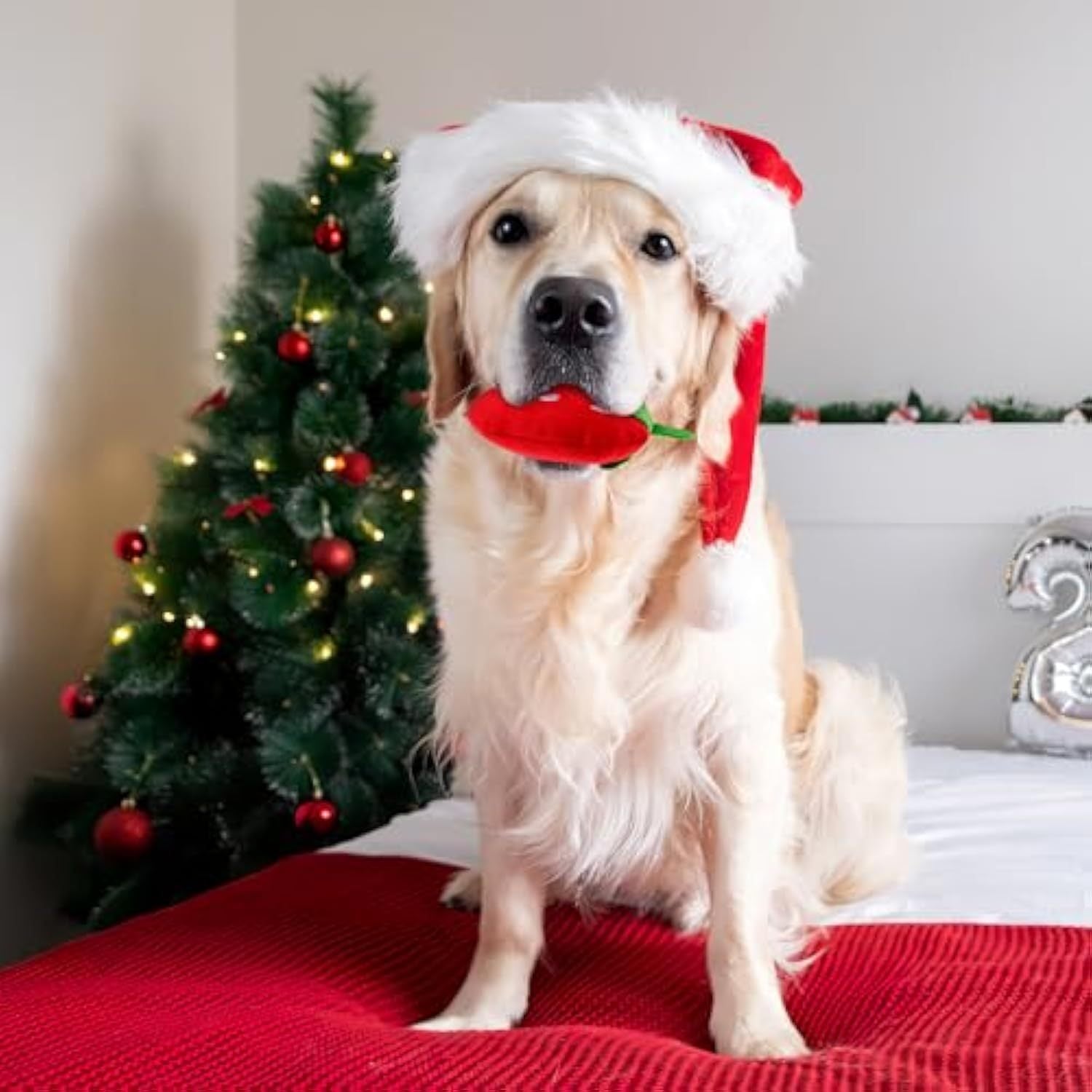 JMT-720970 Strawberry Shaped Soft Plush Dog Chew Toy - Interactive Squeaky Puppy Teeth Cleaning Accessory