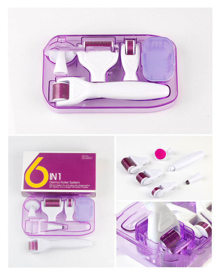 JMT-727882 6-in-1 Derma Roller Microneedling Set for Facial Skin Care with Multiple Needle Sizes and Accessories