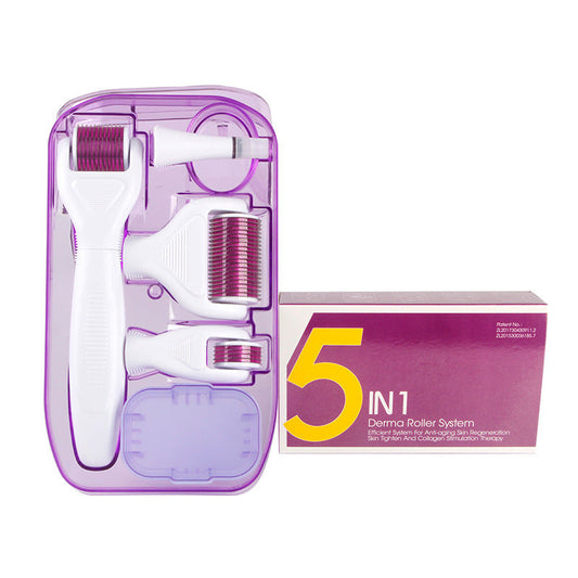 JMT-727882 6-in-1 Derma Roller Microneedling Set for Facial Skin Care with Multiple Needle Sizes and Accessories