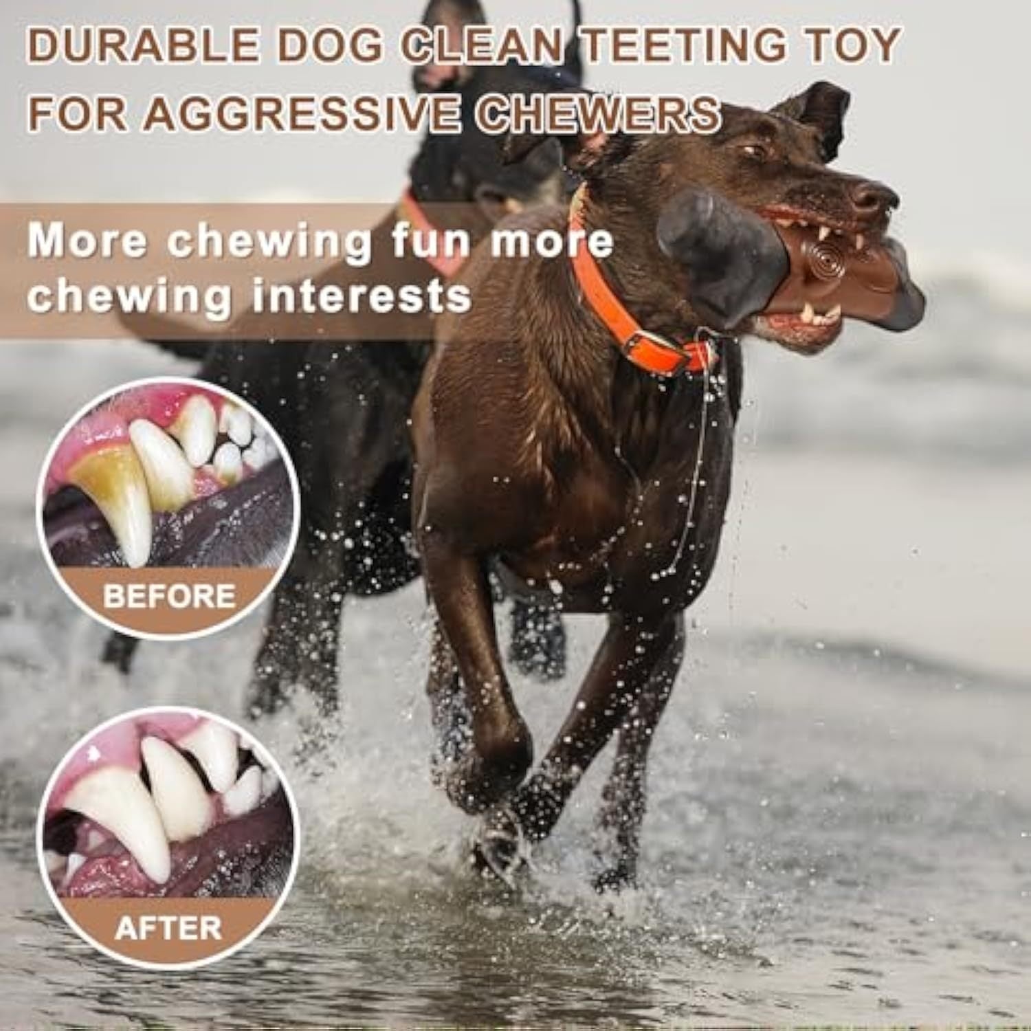 JMT-730186 Durable Indestructible Dog Toy for Aggressive Chewers | Bacon Flavor | Suitable for Large Breeds
