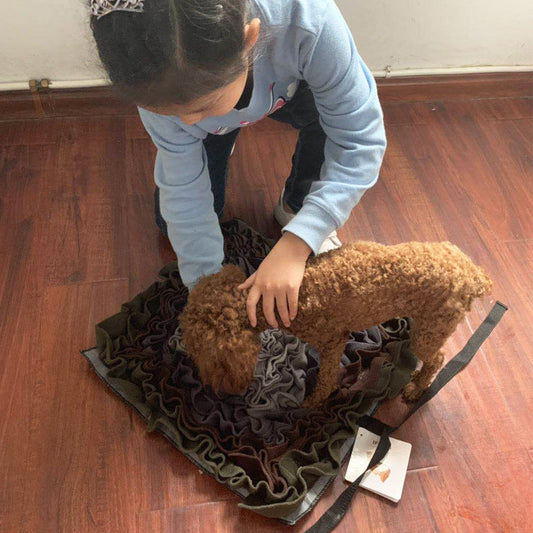 JMT-730506 Gray and Purple Pet Sniffing Mat - Cloth, 45x45cm Interactive Enrichment Toy
