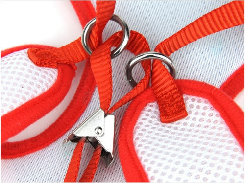 JMT-731530 Elegant Evening Dress with Pet Strap – Adjustable Rope for Comfort and Style