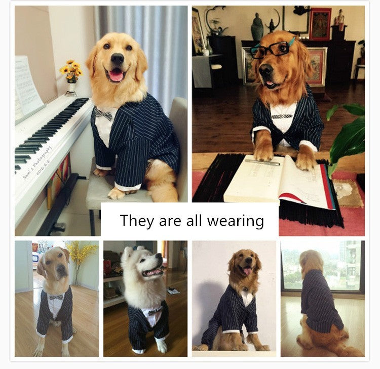 JMT-733258 Striped Bow Tie Dog Suit - Stylish Dog Outfit for Special Occasions