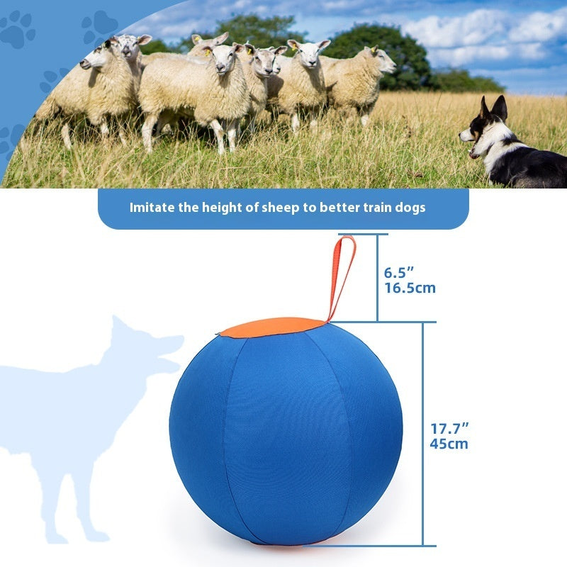 JMT-733642 Shiba Inu & Corgi Fun Training Self-Hi Ball - Blue & Orange Polyester Dog Toy