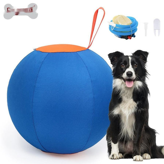 JMT-733642 Shiba Inu & Corgi Fun Training Self-Hi Ball - Blue & Orange Polyester Dog Toy