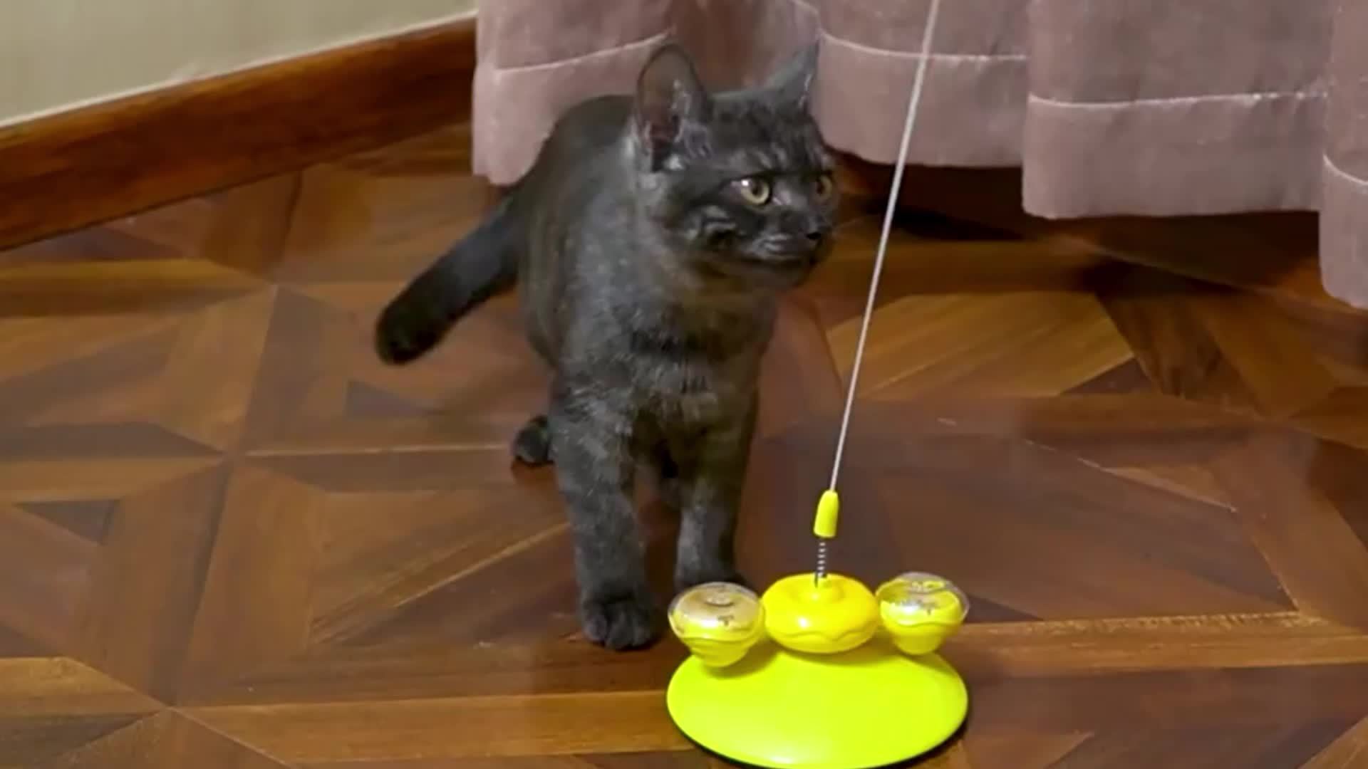 JMT-734794 Interactive Cat Ball Toy for Engaging Playtime