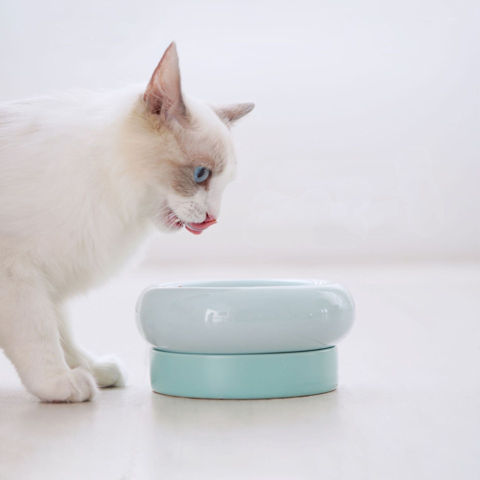 JMT-738122 Mochi Ceramic Cat Food Bowl - Pink & Green, High-Temperature Porcelain, 80-120g Capacity