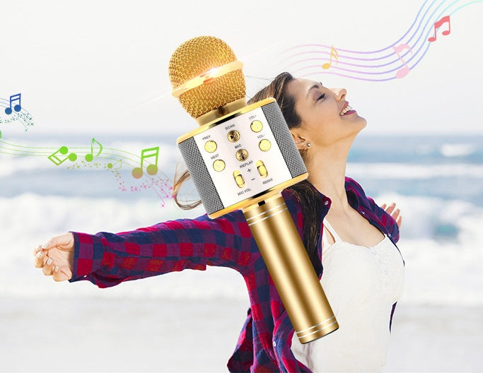 JMT-741578 Portable Bluetooth Wireless Microphone for Music Playback and Karaoke at Home