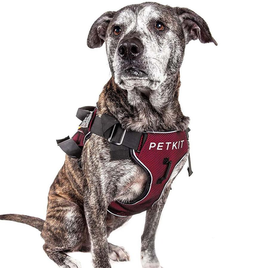 JMT-745034 Adjustable Nylon Pet Vest Chest Strap for Dogs - Multiple Sizes Available