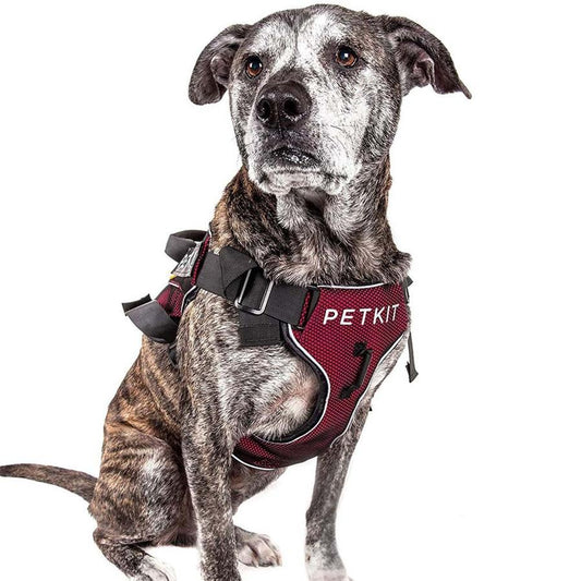 JMT-745034 Adjustable Nylon Pet Vest Chest Strap for Dogs - Multiple Sizes Available