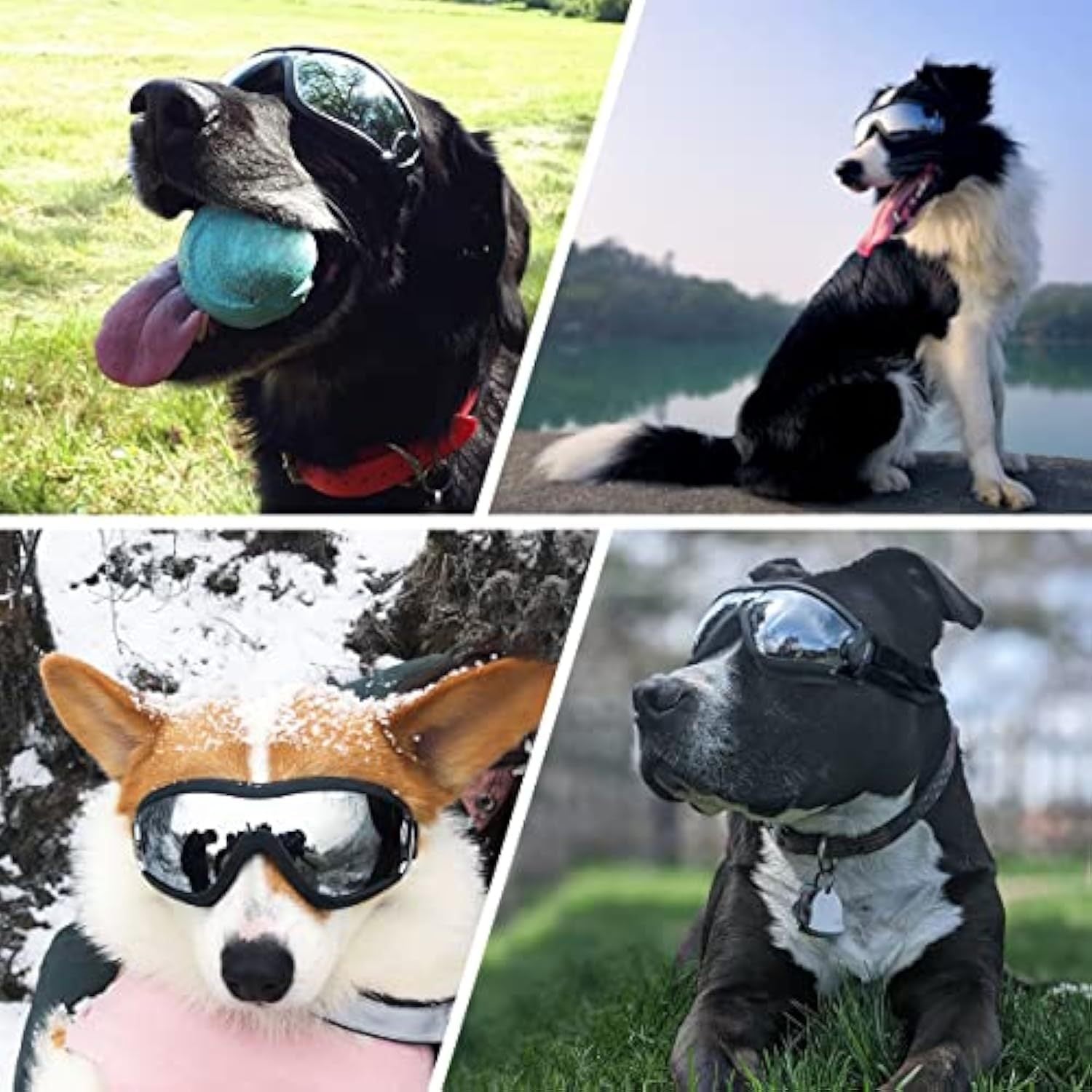 JMT-747978 Stylish Windproof Pet Goggles for Medium to Large Dogs – Sun Protection, Anti-Fog, and Adjustable Strap for Outdoor Activities