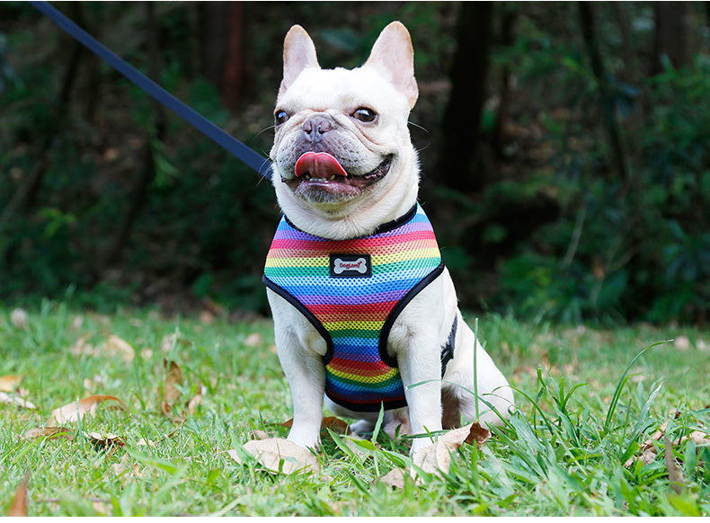 JMT-748490 Rainbow Striped Chest Strap in S, M, L Sizes - Comfortable Sandwich Mesh Design