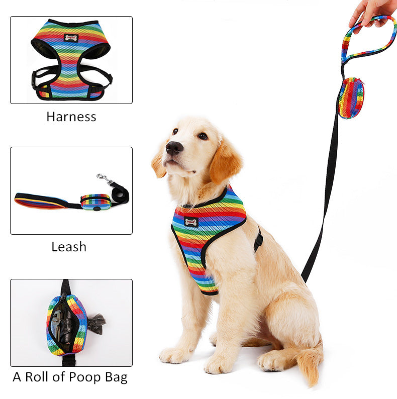 JMT-748490 Rainbow Striped Chest Strap in S, M, L Sizes - Comfortable Sandwich Mesh Design
