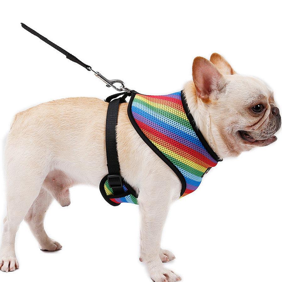 JMT-748490 Rainbow Striped Chest Strap in S, M, L Sizes - Comfortable Sandwich Mesh Design