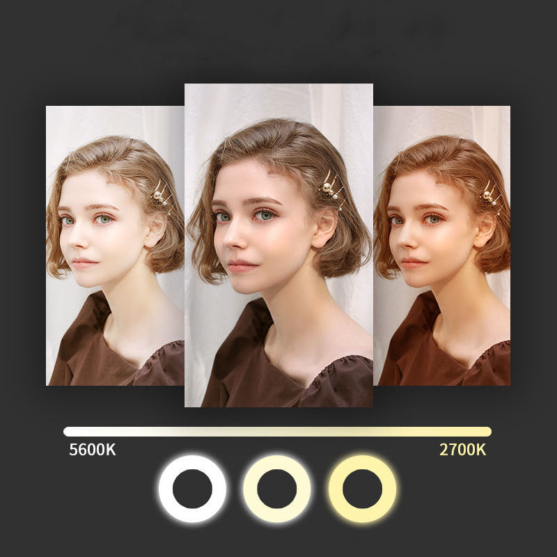 JMT-754762 18-Inch Folding Fill Light with Remote Control and Three Color Temperature Adjustments