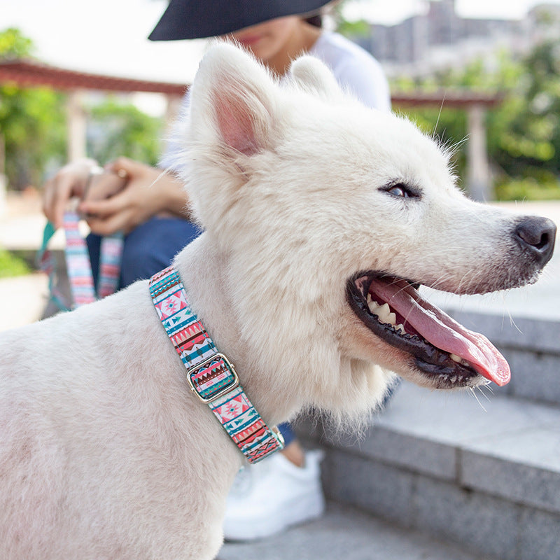 JMT-757386 Custom Dog Collar with Personalized Lettering for Pets - Casual Style, Available in Multiple Sizes