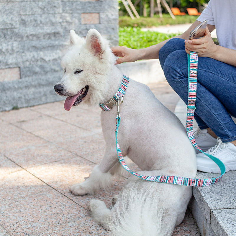 JMT-757386 Custom Dog Collar with Personalized Lettering for Pets - Casual Style, Available in Multiple Sizes