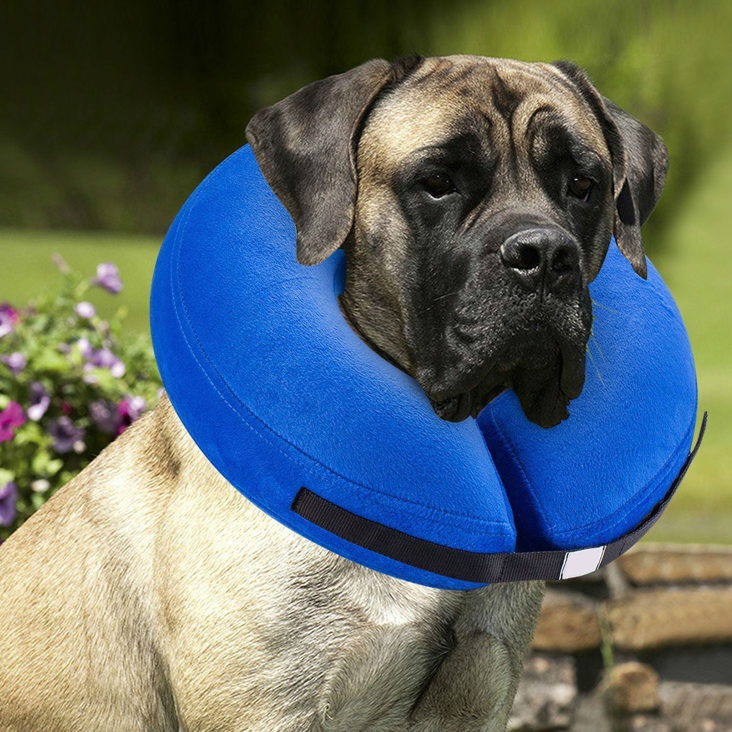 JMT-758026 Inflatable Protective Collar for Dogs and Cats - Adjustable Soft Fabric with Sizes S to XL